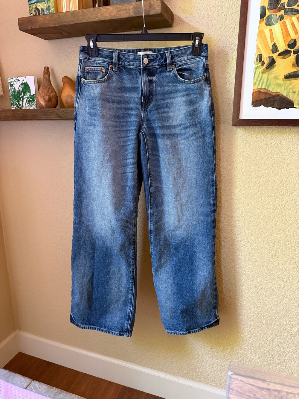 PacSun Casey Lowrise Baggy Jeans 26